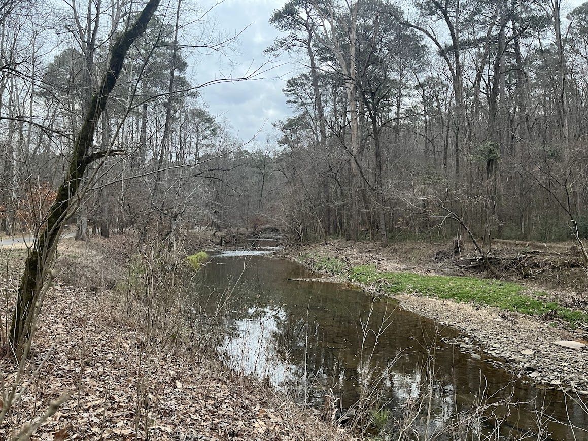 Shades Creek running through the woods near Jemison Park in Birmingham