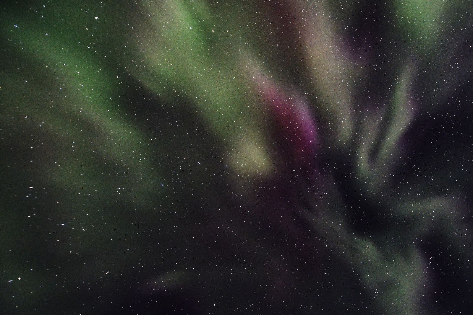 Green and purple northern lights spreading across a starry sky directly overhead near Talkeetna
