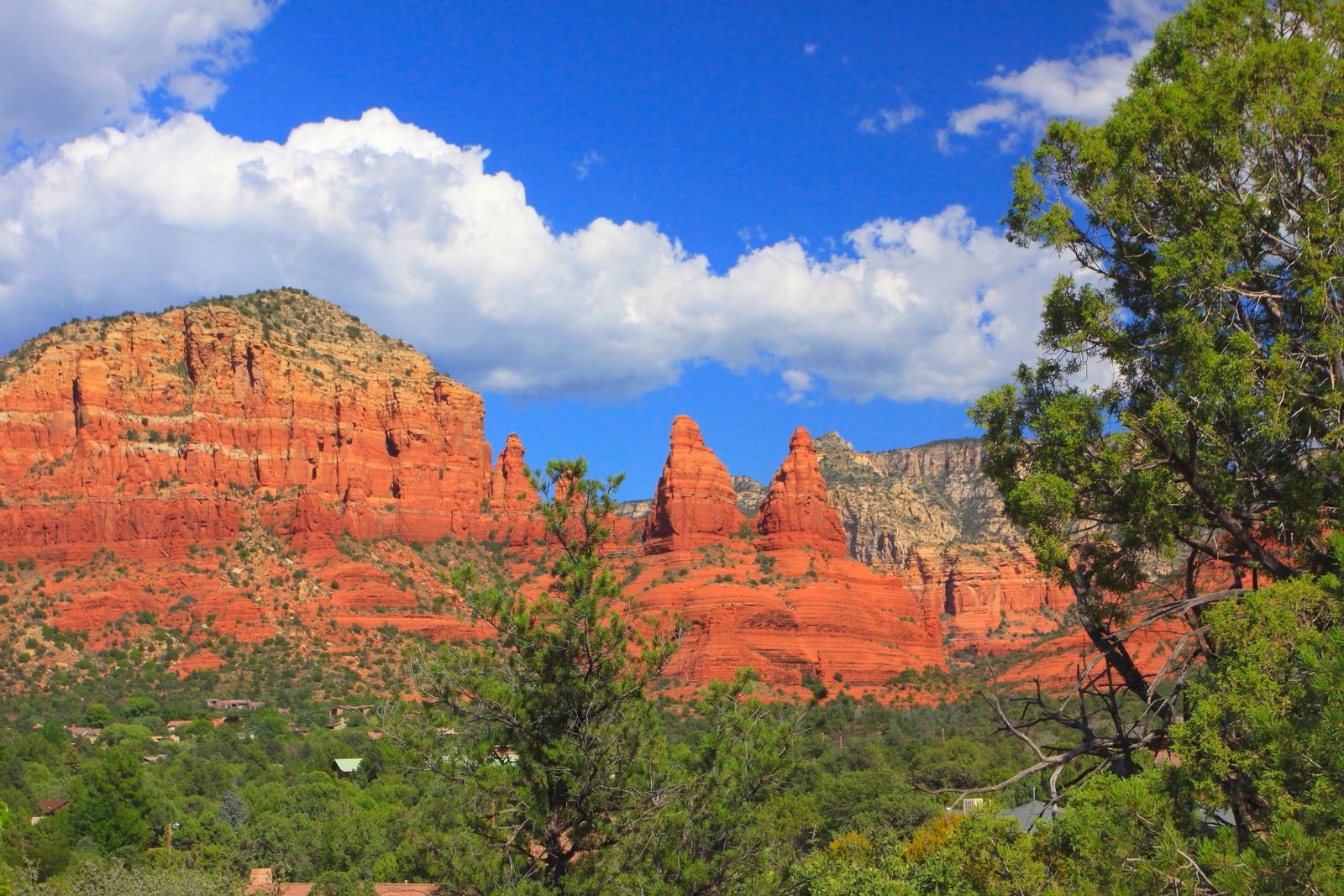 Red sandstone buttes and pine trees under white clouds near Sedona, Arizona