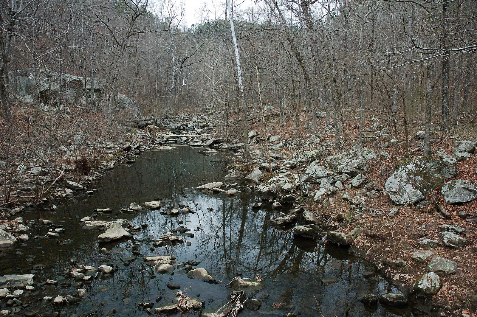 A rocky creek through bare winter woods in Petit Jean State Park, Arkansas