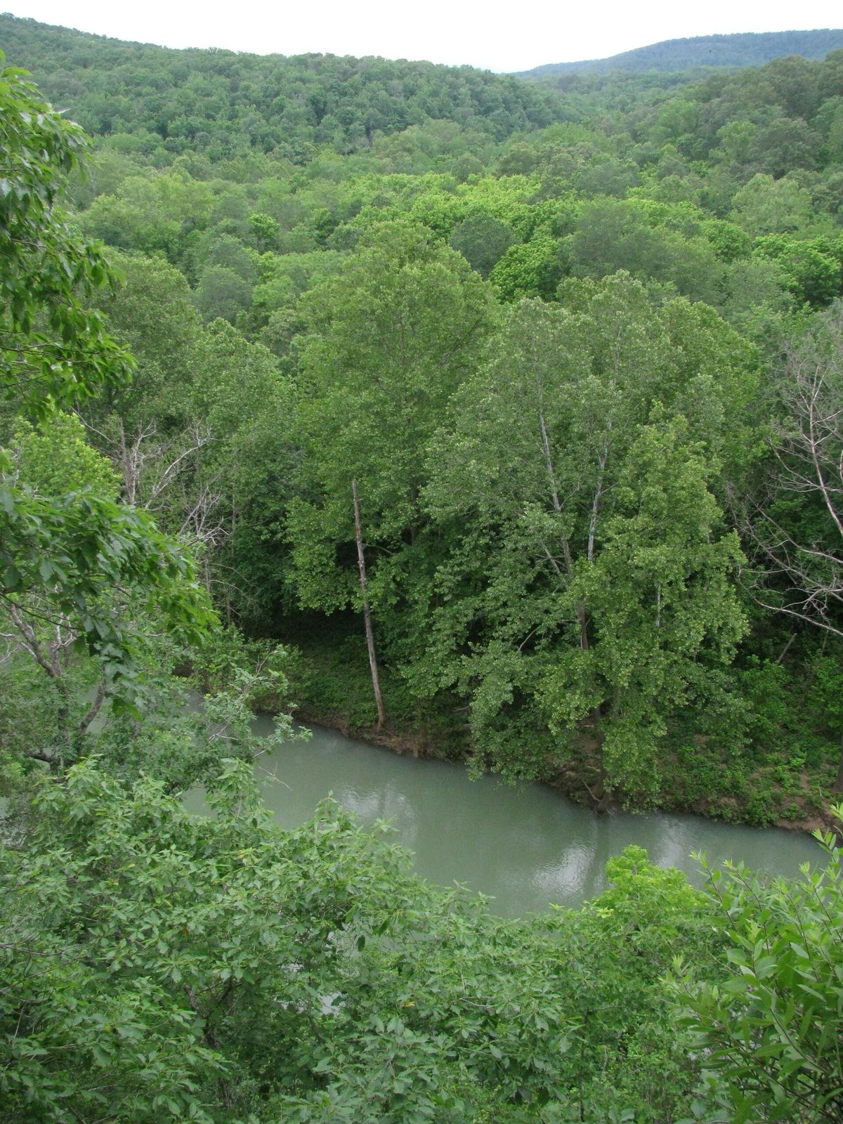 A view over the Buffalo River valley from a trail in the Arkansas Ozarks