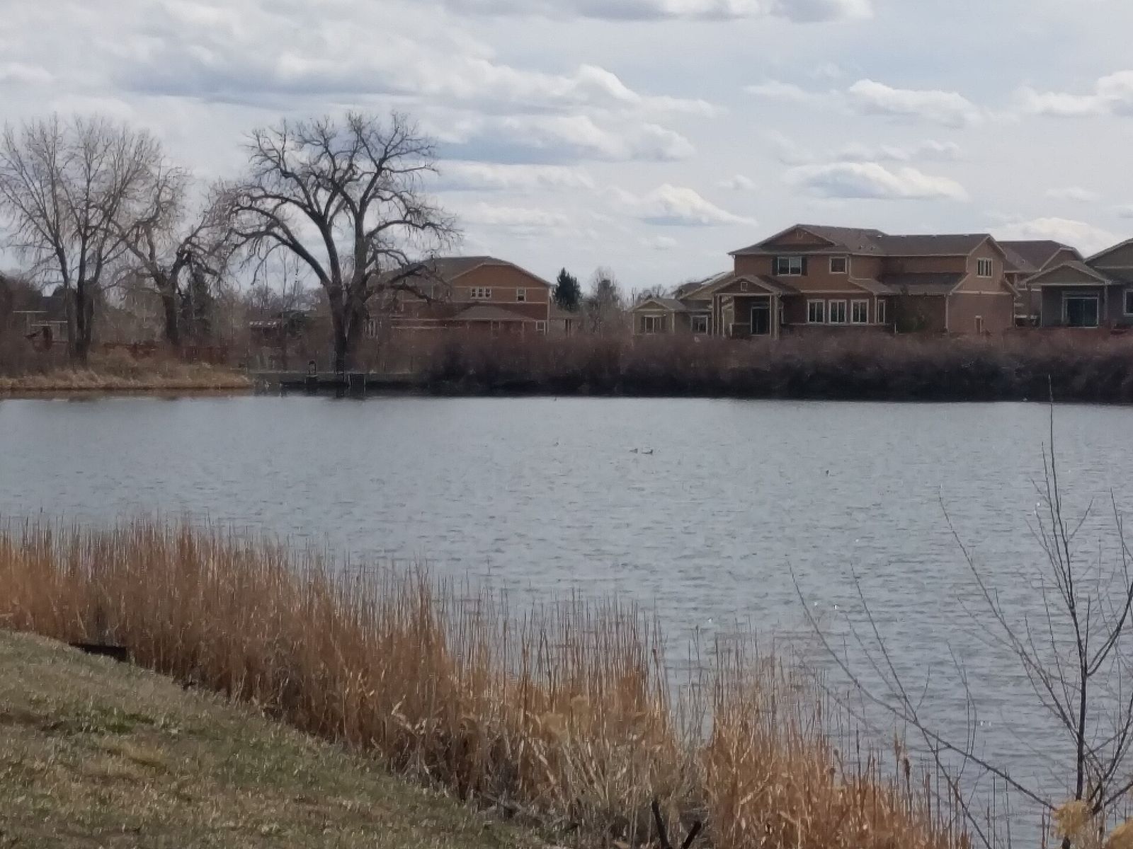 The irrigation dam at Broad Lake Park in Arvada, Colorado