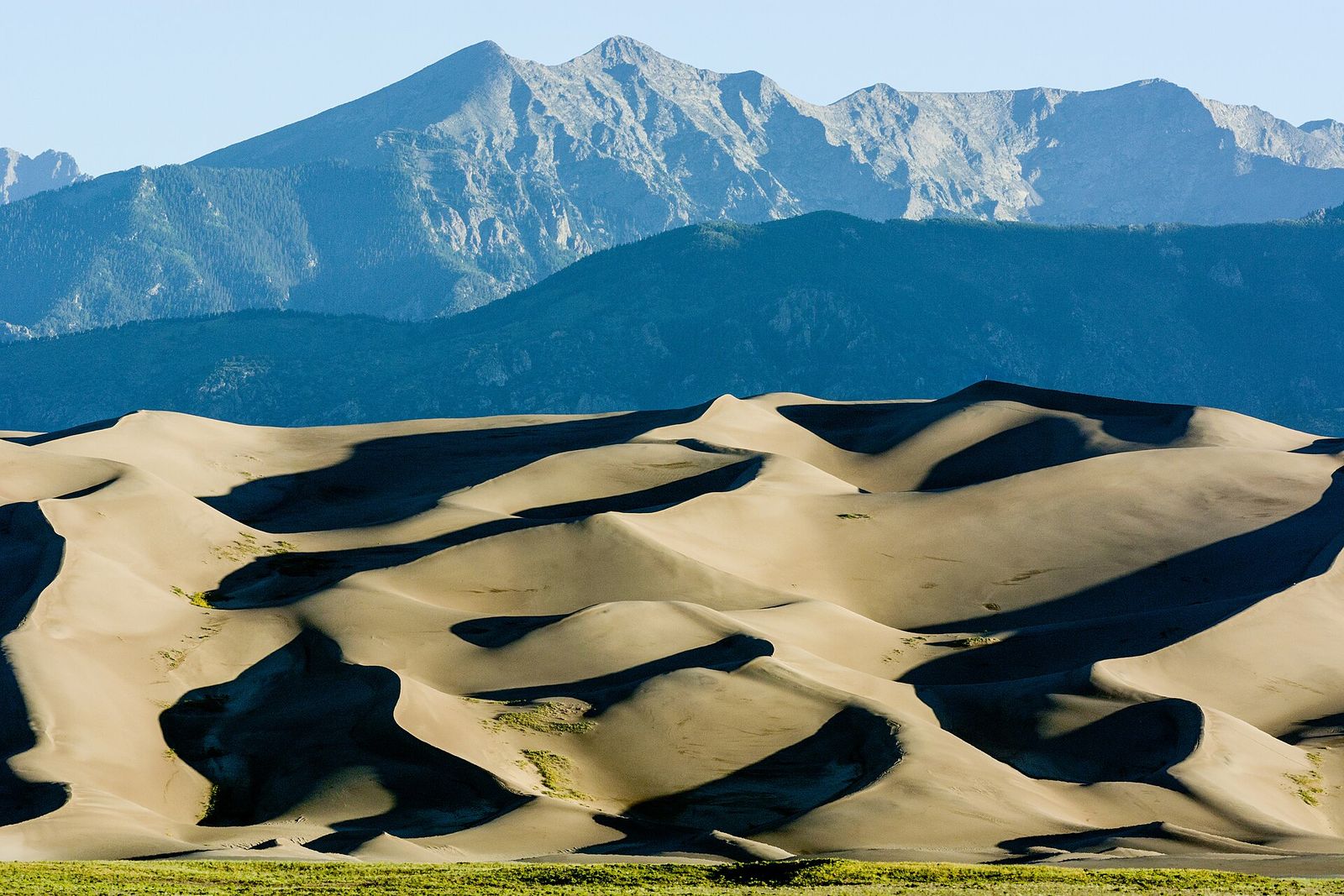 The tall dunes of Great Sand Dunes National Park rising toward the Sangre de Cristo Mountains
