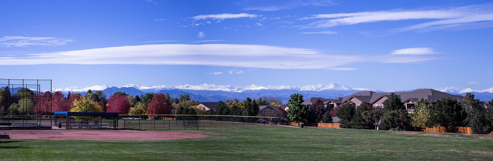 Early fall trees and a wide field in Westminster, Colorado, with the mountains on the horizon