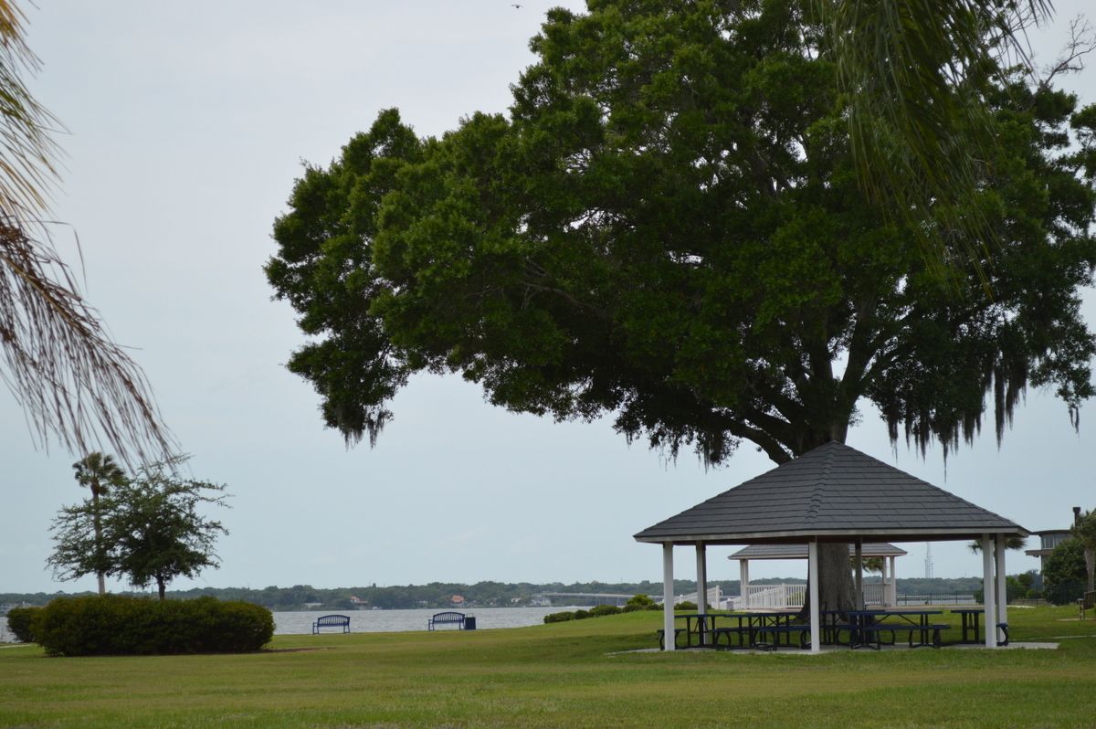 Veterans Memorial Park in Oldsmar, looking out across the water of Tampa Bay