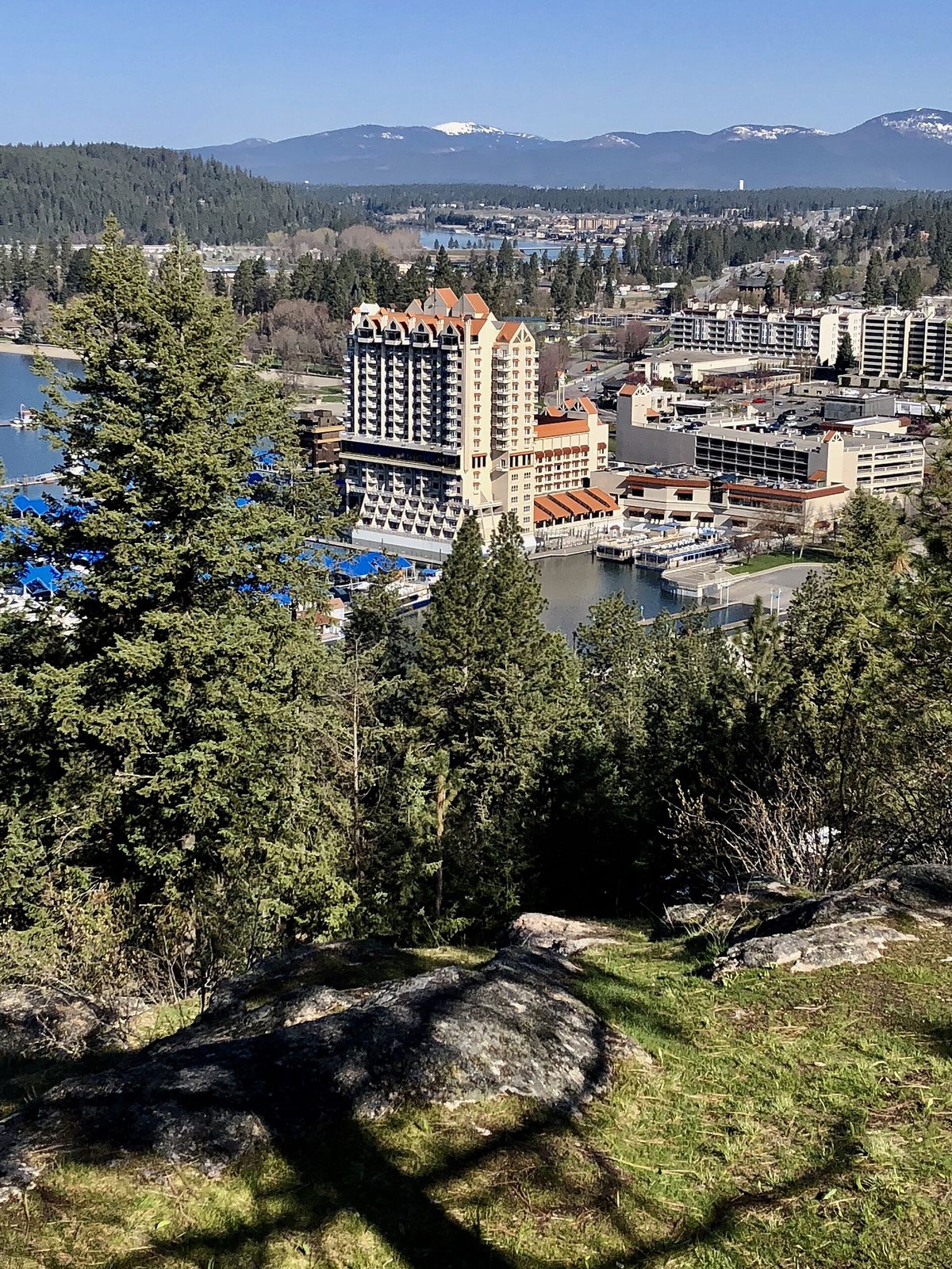 The Coeur d'Alene Resort tower, downtown and the lake seen from the pine-covered rocks of Tubbs Hill
