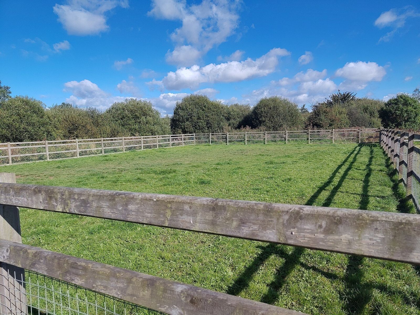 A grassy dog park enclosed by a wooden post-and-rail fence and wire mesh under a blue sky