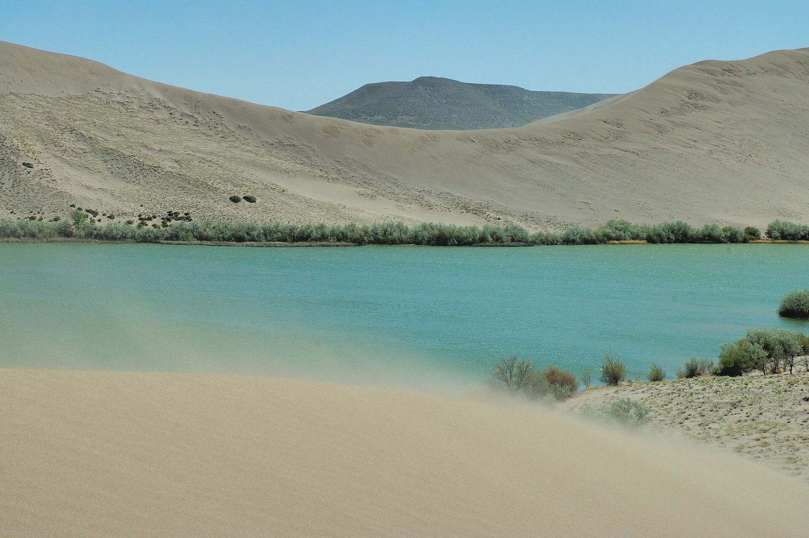 A tall sand dune rising above a blue-green lake at Bruneau Dunes State Park