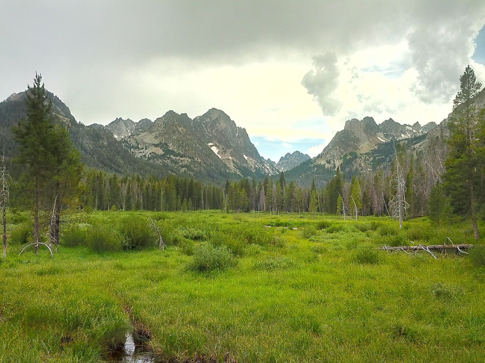 A green meadow along Fishhook Creek below the rugged peaks of the Sawtooth Mountains