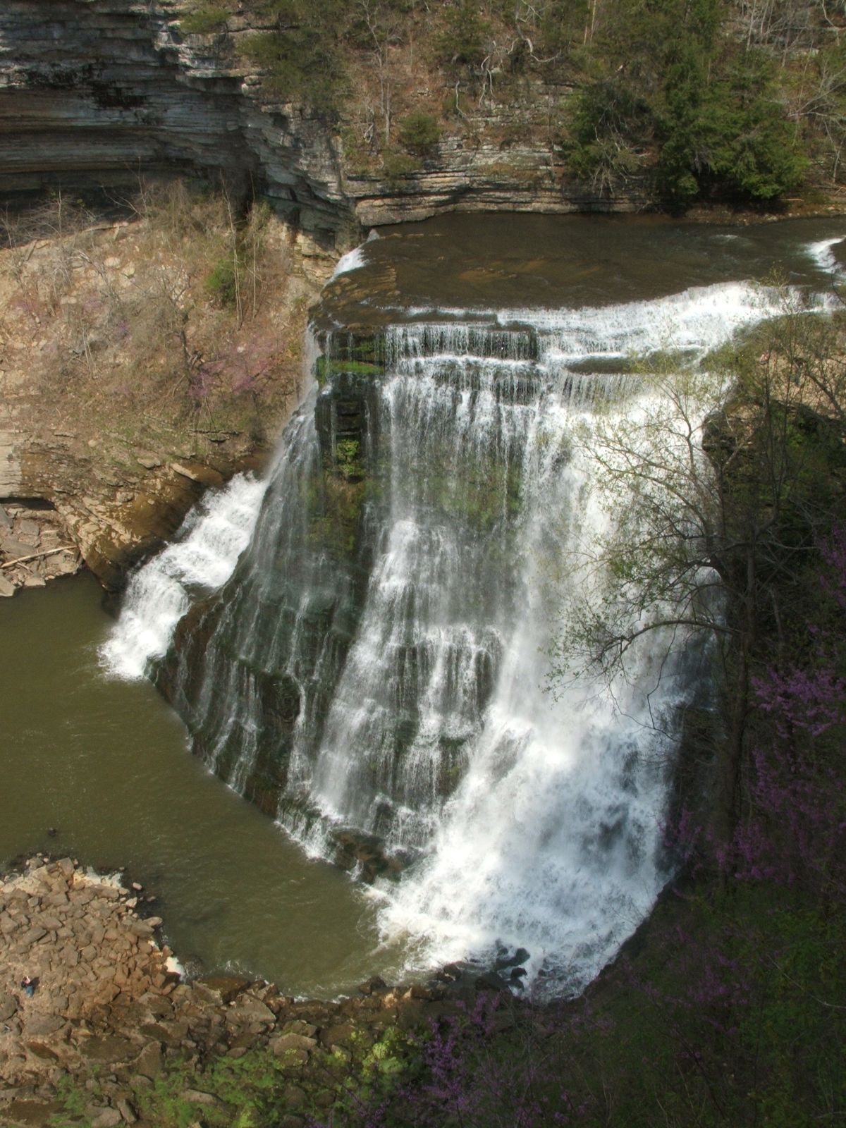 The main fall at Burgess Falls dropping into a gorge