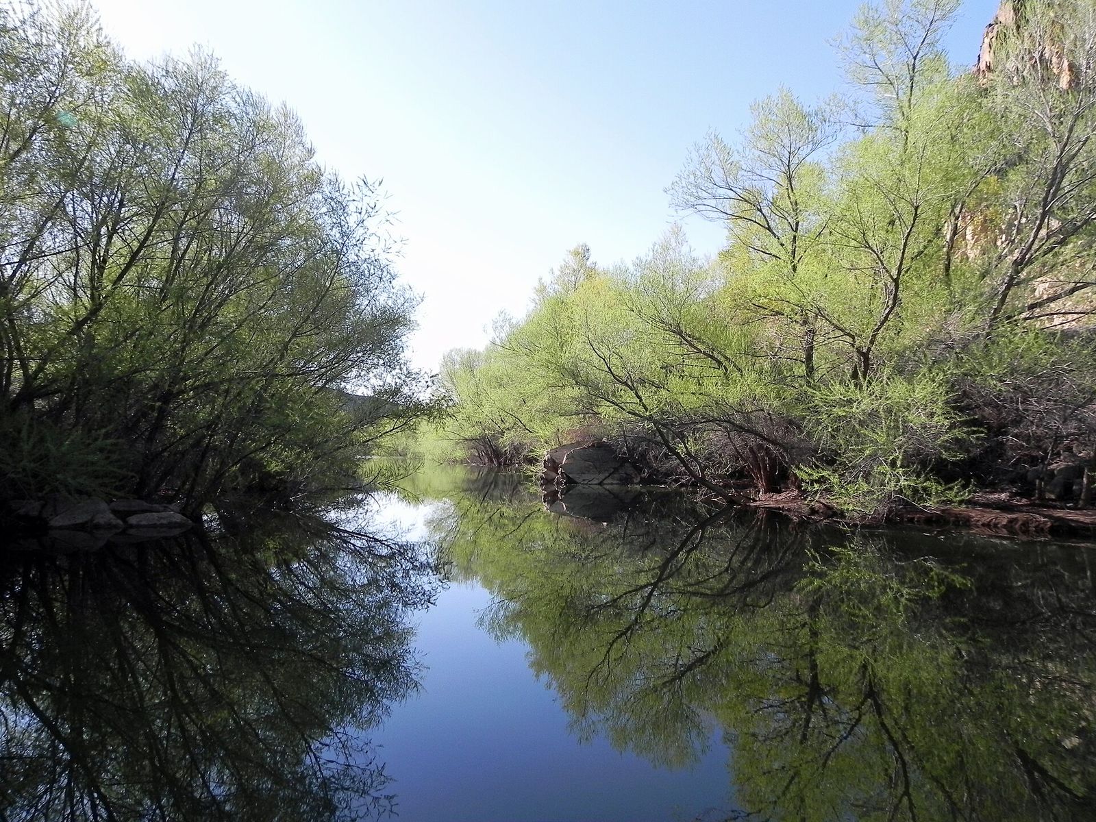 Green trees reflected in calm water at Quail Creek Reservoir in Hurricane