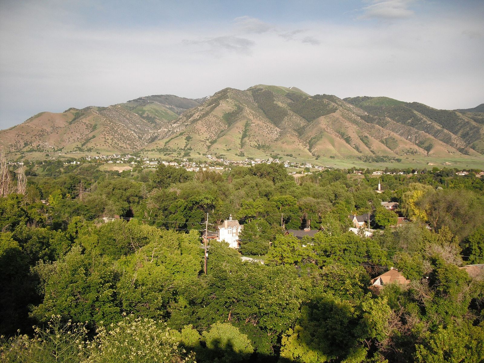 Looking east over the trees of Logan toward the Island and Cliffside neighborhoods and the Bear River Mountains