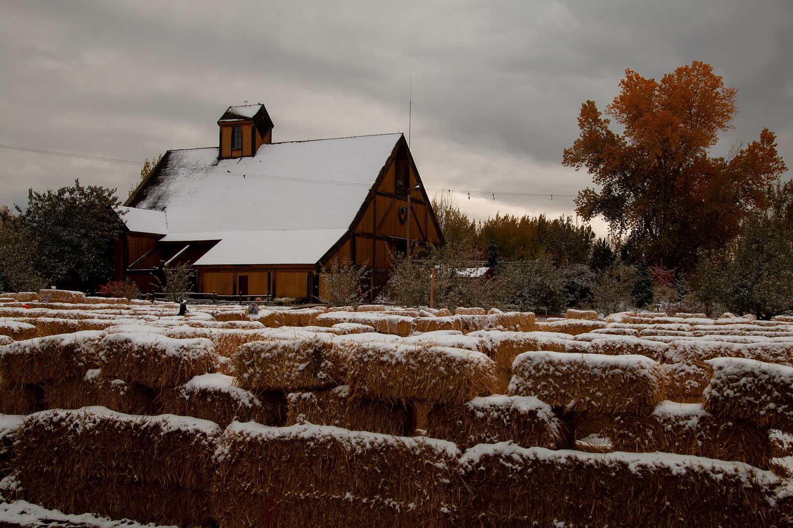 The red activity barn at Wheeler Historic Farm with a straw bale maze dusted in snow