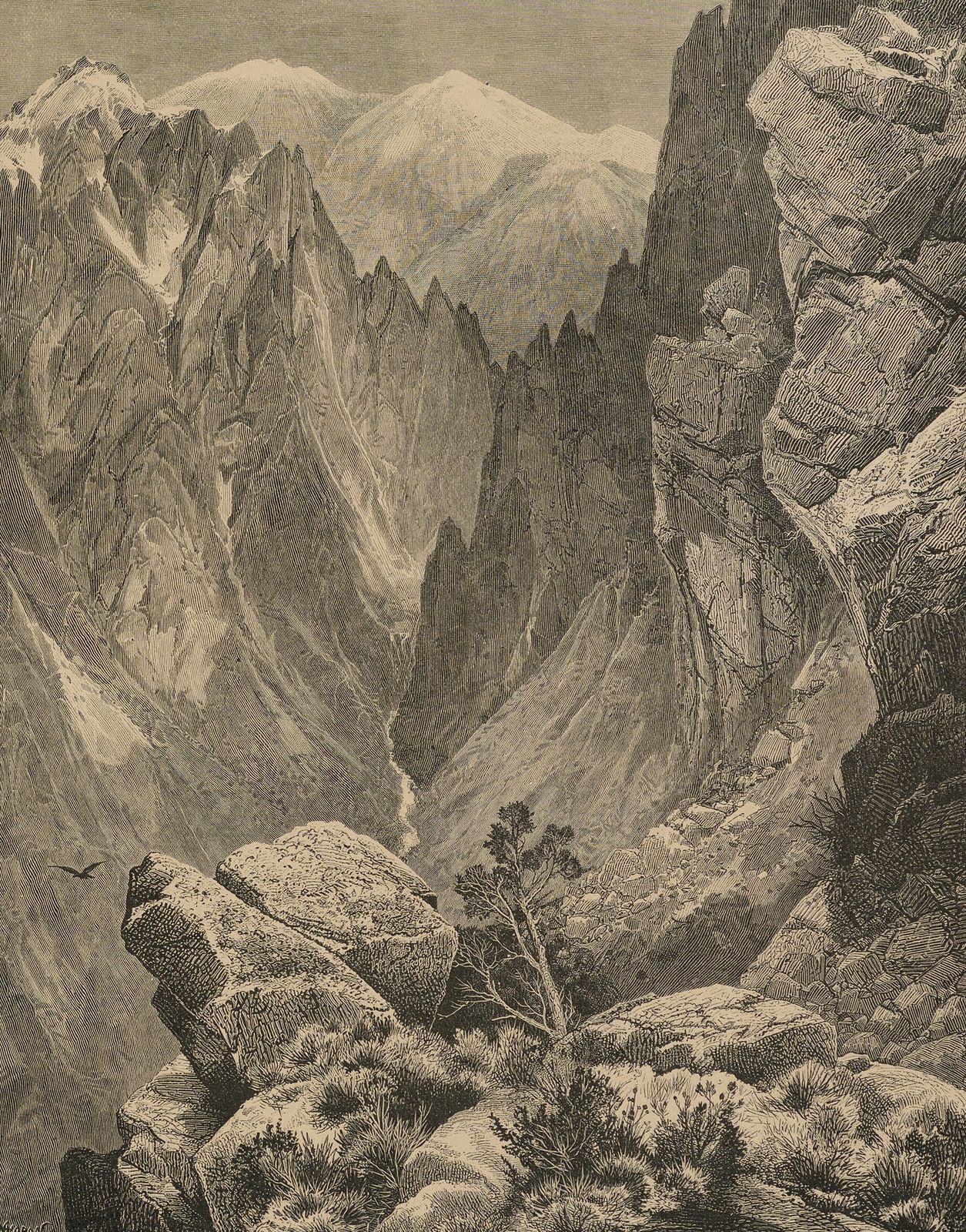 Thomas Moran's 1874 engraving of Springville Canyon, with jagged rock walls below snowy peaks